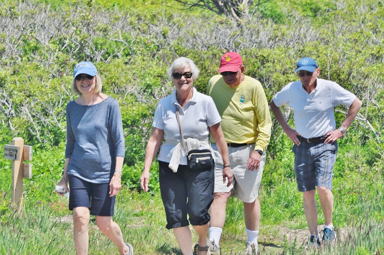 some of our gang on the beach path